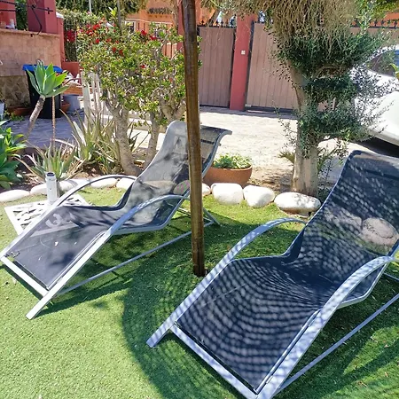 Matisse Luxury * טורמולינוס